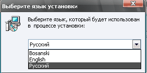 setup language